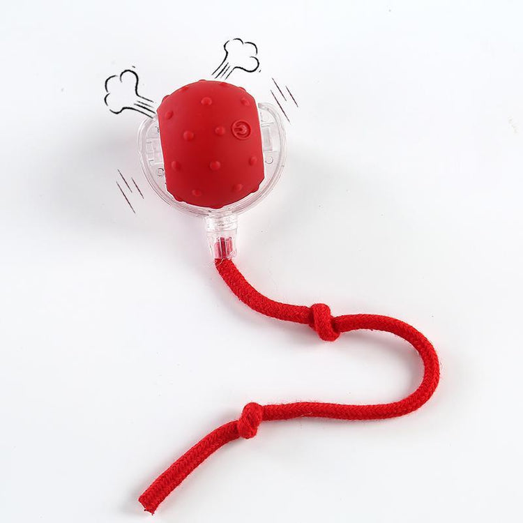 SPOVEN Interactive Cat & Dog Toys - USB Rechargeable Fast Rolling Ball with Bird Chirping & Light - Anti-Depression Pet Fun Gift - Red Color - 6.3X6.0X5.0Cm