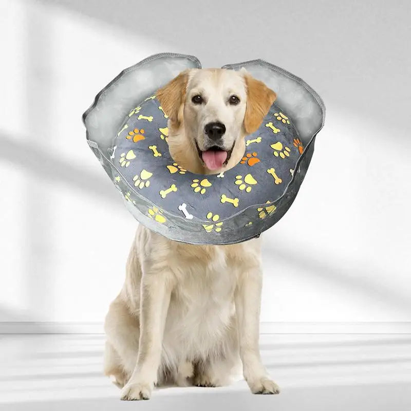 Inflatable Elizabethan Recovery Collar