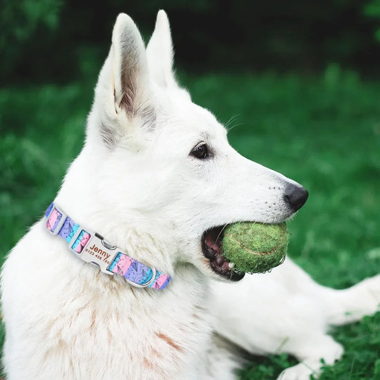 Personalized Floral Dog Collar