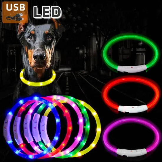 3-Mode LED USB Rechargeable Dog Collar