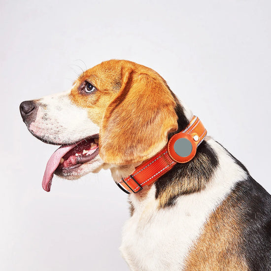 Reflective GPS Dog Positioning Collar