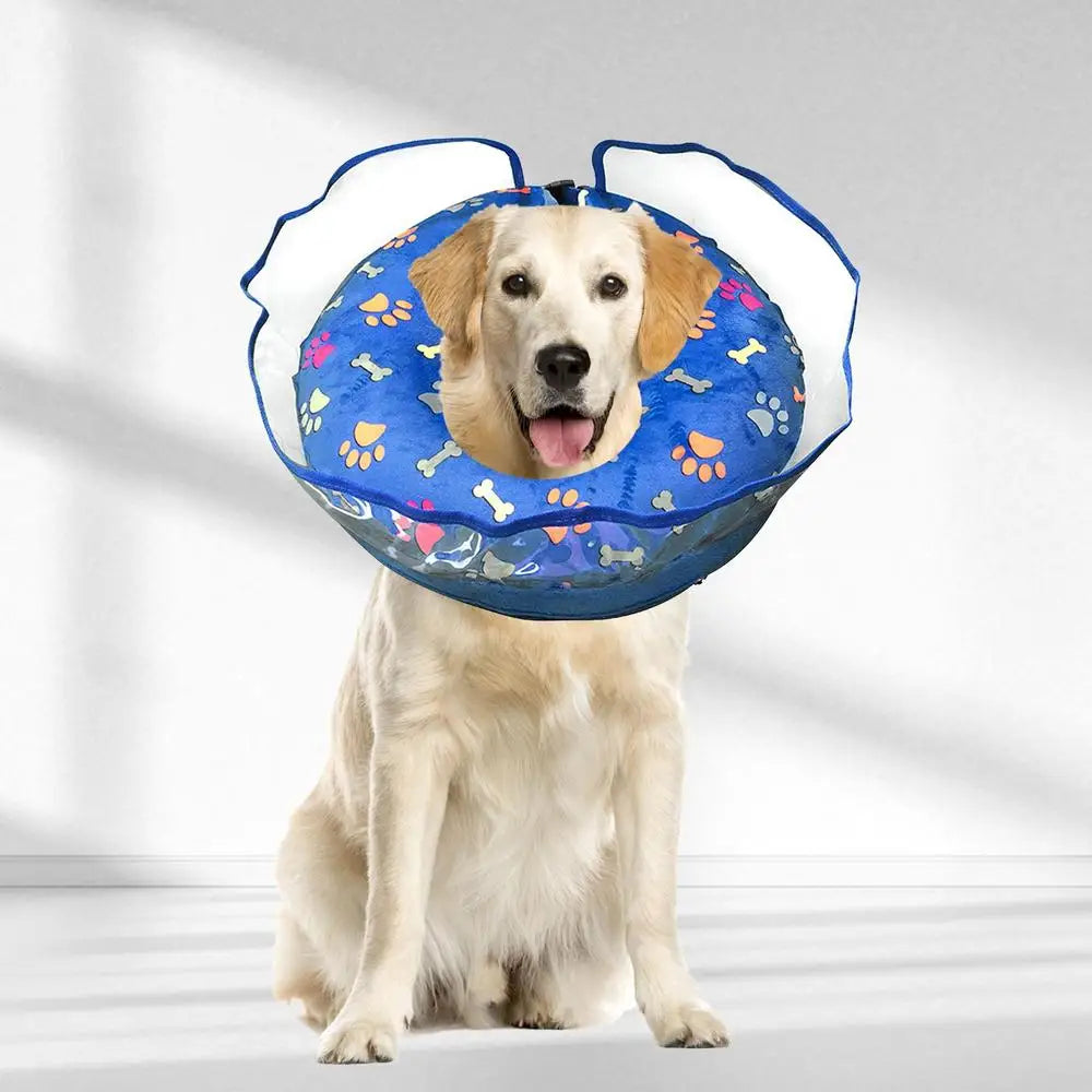Inflatable Elizabethan Recovery Collar