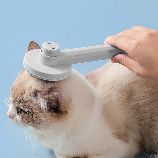 One-Click Cat Hair Removal Brush