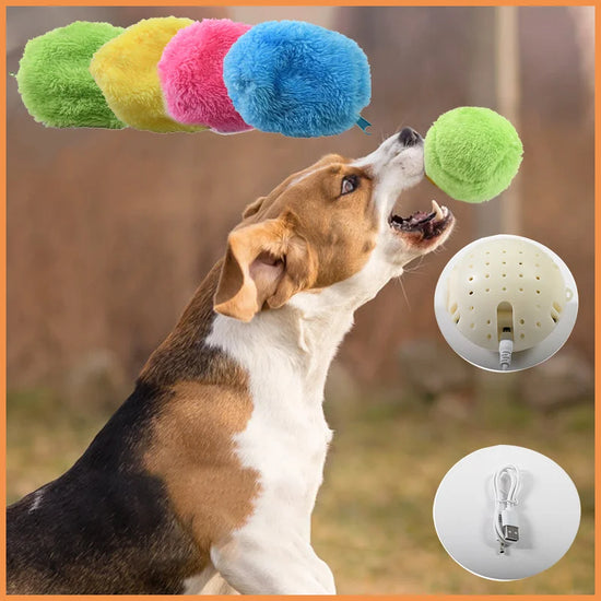 Smart Automatic Rolling Pet Ball
