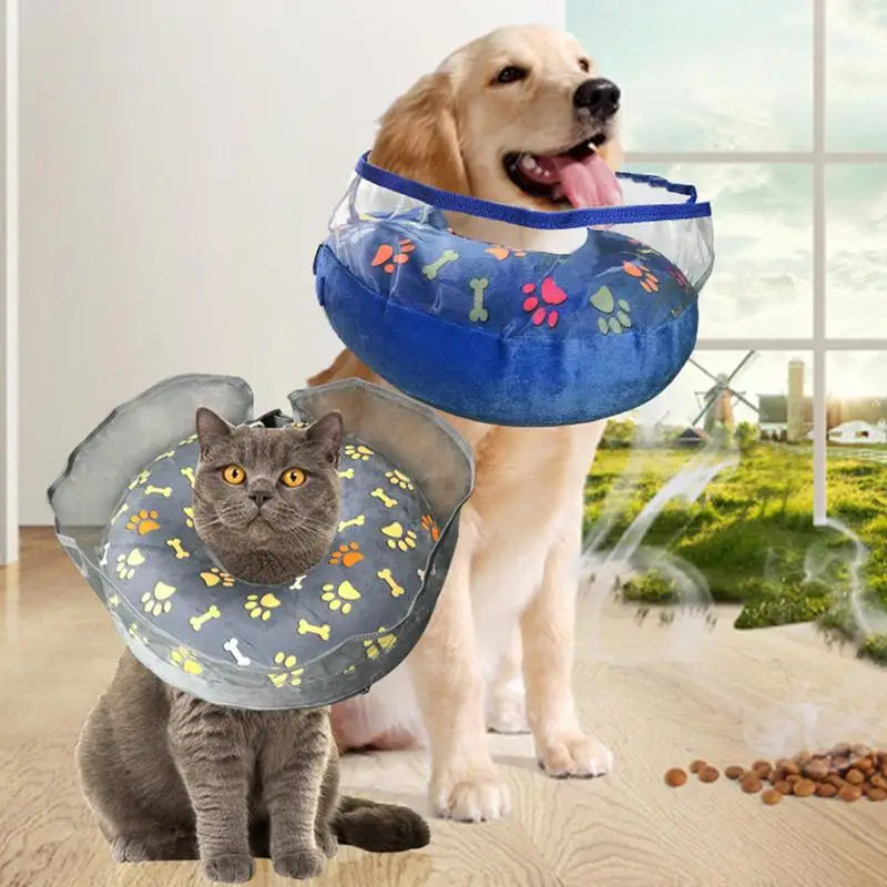 Inflatable Elizabethan Recovery Collar