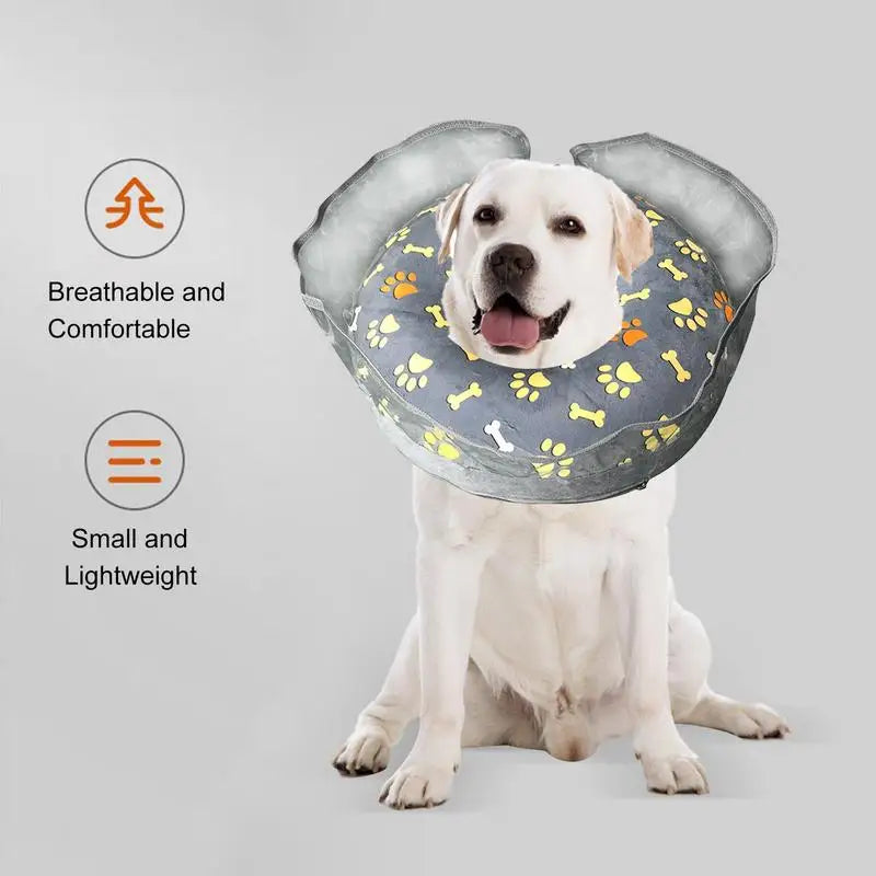 Inflatable Elizabethan Recovery Collar