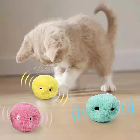 Smart Interactive Catnip Bal