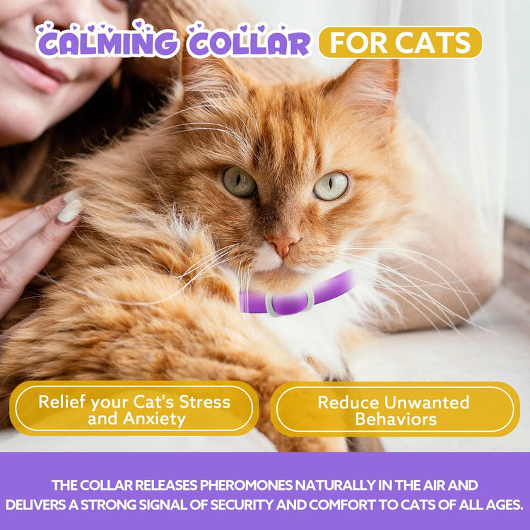Calming Collar for Cats with Pheromones,Cat Anxiety and Calming,Up to 18.9Inch,Water Resistant,8 Pack 240 Days Supply