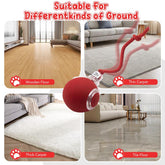 SPOVEN Interactive Cat & Dog Toys - USB Rechargeable Fast Rolling Ball with Bird Chirping & Light - Anti-Depression Pet Fun Gift - Red Color - 6.3X6.0X5.0Cm
