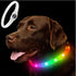 New Led Luminous Dog Collar PVC Waterproof , for Large Medium Small Dogs Collar Usb Light Night Safety Pet Glowing Accessories