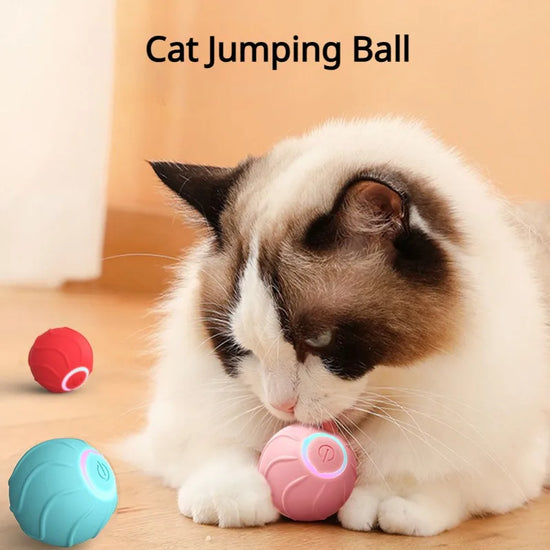 Smart Rolling Ball