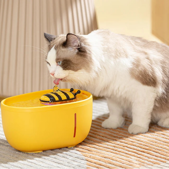 2L Automatic Pet Water Fountain