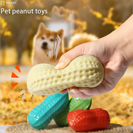 Simulation Peanut Squeaky Rubber Toy
