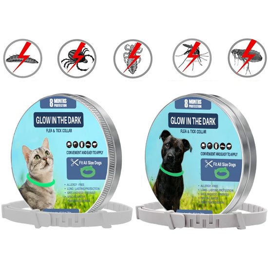 10PCS Luminous Flea & Tick Collar