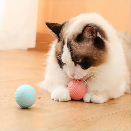 USB Rechargeable Interactive Cat Toy