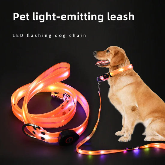 LED Light-Up Dog Collar & Leash