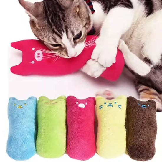 Catnip Molar Plush Cat Toy